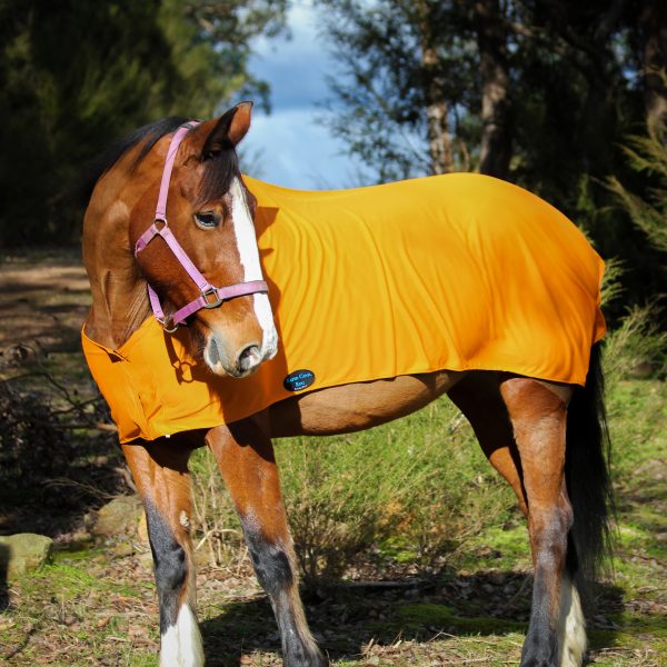 Rapid Cool Horse Rugs - Image 3