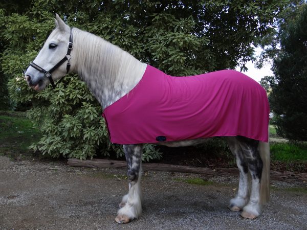 Rapid Cool Horse Rugs - Image 17