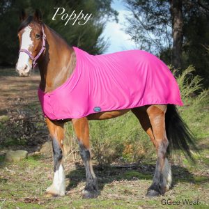 Rapid Cool Horse Rugs
