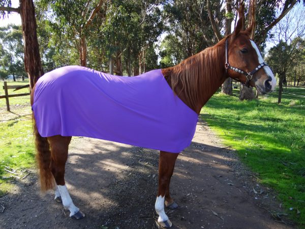 Rapid Cool Horse Rugs - Image 8