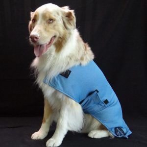 Rapid Cool Dog Rugs