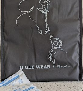 Rapid Cooler Bag